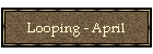 Looping - April